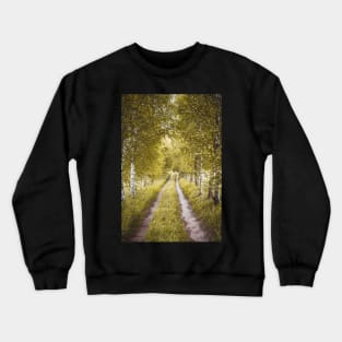 Alley of autumn birches Crewneck Sweatshirt